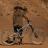 Norco Shore Rampage22 03
